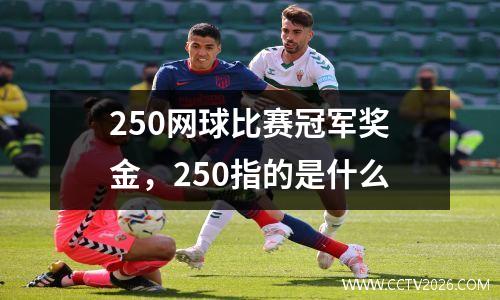250网球比赛冠军奖金，250指的是什么