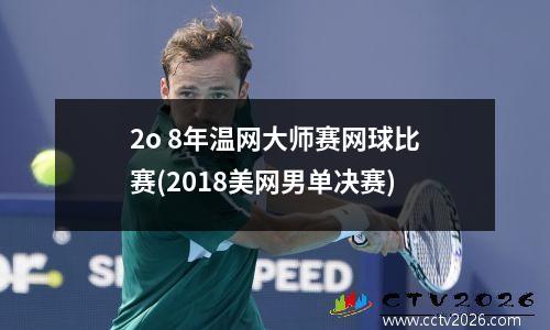 2o 8年温网大师赛网球比赛(2018美网男单决赛)