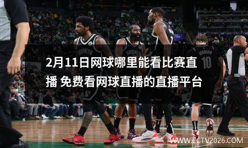 2月11日网球哪里能看比赛直播 免费看网球直播的直播平台