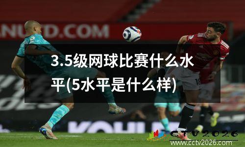3.5级网球比赛什么水平(5水平是什么样)