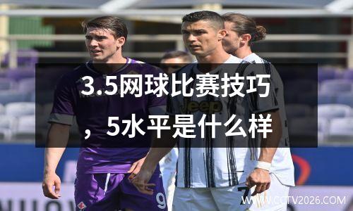 3.5网球比赛技巧，5水平是什么样