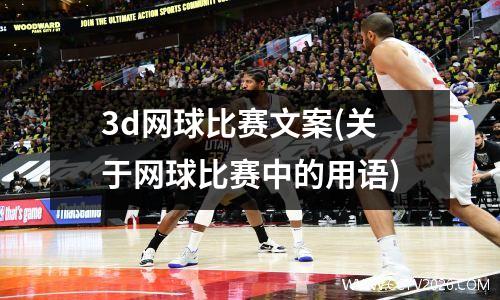 3d网球比赛文案(关于网球比赛中的用语)