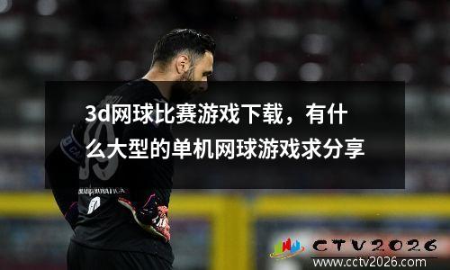 3d网球比赛游戏下载，有什么大型的单机网球游戏求分享