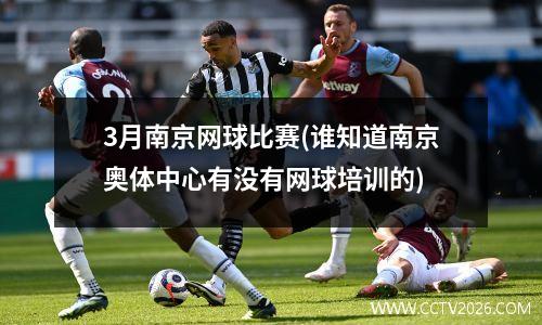 3月南京网球比赛(谁知道南京奥体中心有没有网球培训的)