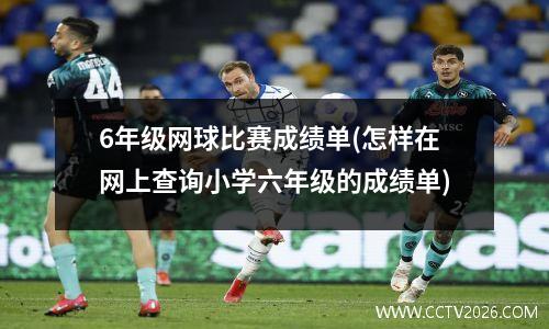 6年级网球比赛成绩单(怎样在网上查询小学六年级的成绩单)