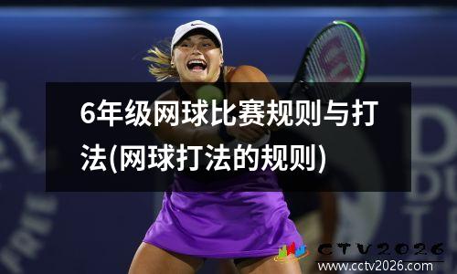 6年级网球比赛规则与打法(网球打法的规则)