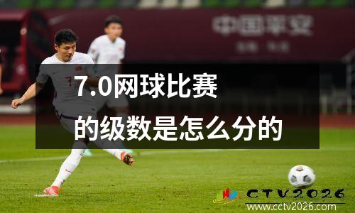 7.0网球比赛 的级数是怎么分的
