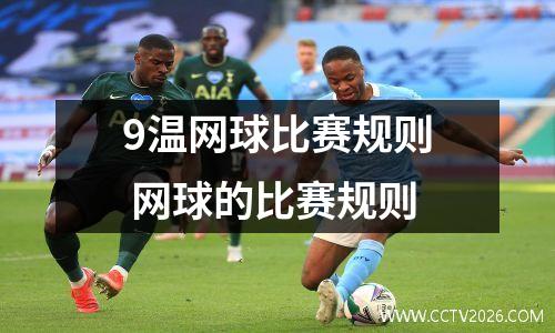9温网球比赛规则 网球的比赛规则