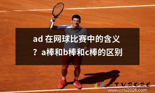 ad 在网球比赛中的含义？a棒和b棒和c棒的区别