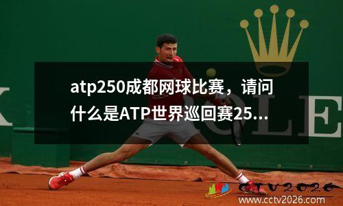 atp250成都网球比赛，请问什么是ATP世界巡回赛250赛啊