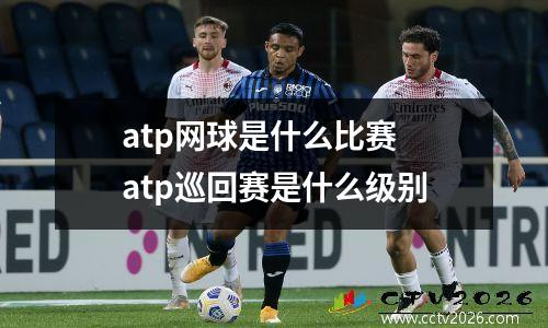 atp网球是什么比赛 atp巡回赛是什么级别