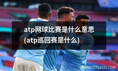 atp网球比赛是什么意思(atp巡回赛是什么)