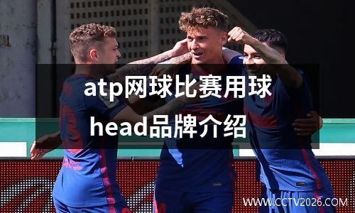 atp网球比赛用球 head品牌介绍