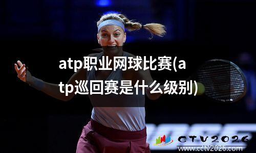 atp职业网球比赛(atp巡回赛是什么级别)