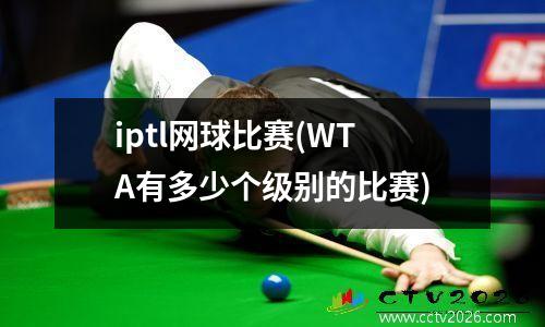 iptl网球比赛(WTA有多少个级别的比赛)