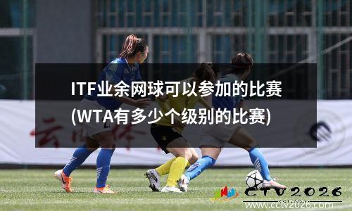 ITF业余网球可以参加的比赛(WTA有多少个级别的比赛)