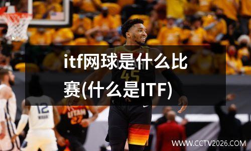 itf网球是什么比赛(什么是ITF)