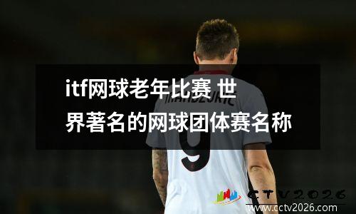 itf网球老年比赛 世界著名的网球团体赛名称
