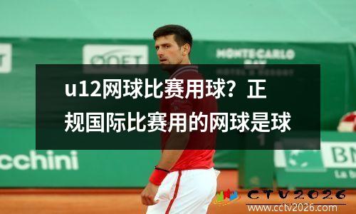 u12网球比赛用球？正规国际比赛用的网球是球