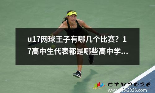 u17网球王子有哪几个比赛？17高中生代表都是哪些高中学校里的