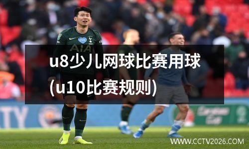 u8少儿网球比赛用球(u10比赛规则)