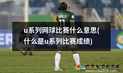 u系列网球比赛什么意思(什么是u系列比赛成绩)