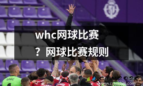 whc网球比赛？网球比赛规则
