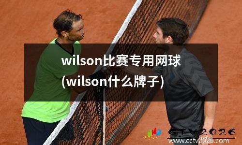 wilson比赛专用网球(wilson什么牌子)