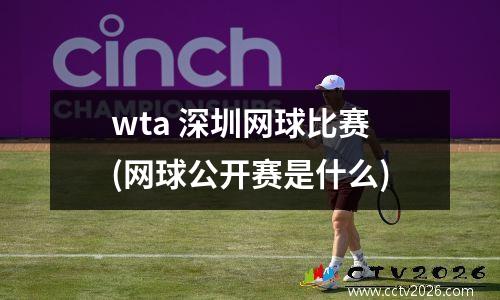 wta 深圳网球比赛(网球公开赛是什么)