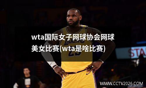 wta国际女子网球协会网球美女比赛(wta是啥比赛)