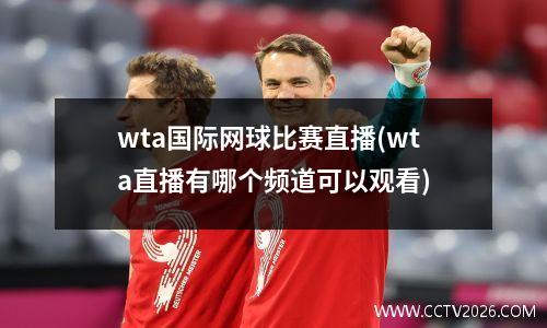 wta国际网球比赛直播(wta直播有哪个频道可以观看)