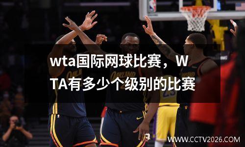 wta国际网球比赛，WTA有多少个级别的比赛
