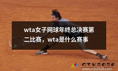 wta女子网球年终总决赛第二比赛，wta是什么赛事