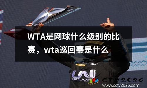 WTA是网球什么级别的比赛，wta巡回赛是什么