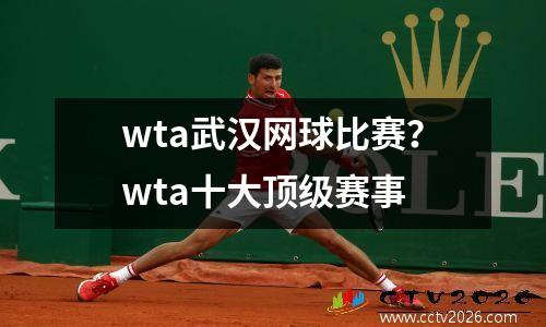 wta武汉网球比赛？wta十大顶级赛事