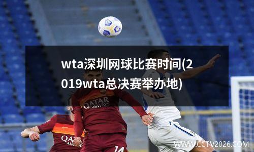 wta深圳网球比赛时间(2019wta总决赛举办地)