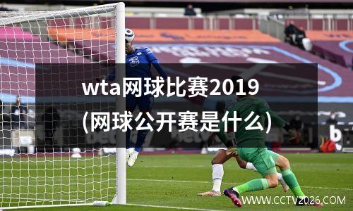 wta网球比赛2019(网球公开赛是什么)