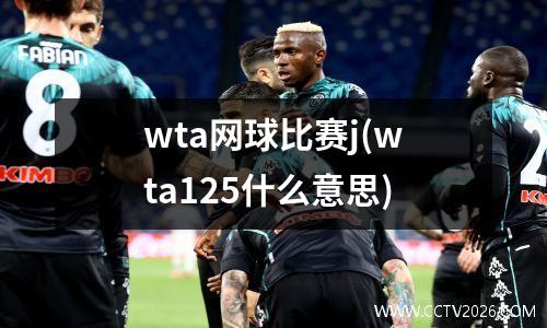 wta网球比赛j(wta125什么意思)