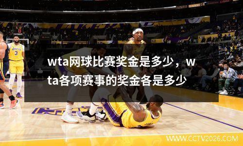 wta网球比赛奖金是多少，wta各项赛事的奖金各是多少