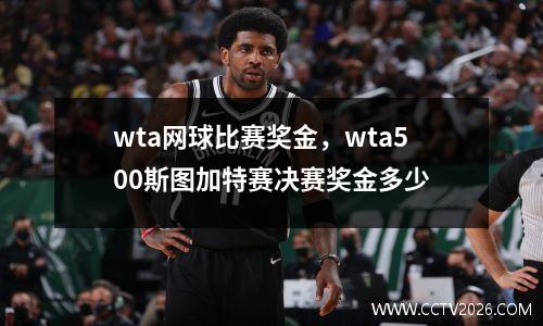 wta网球比赛奖金，wta500斯图加特赛决赛奖金多少