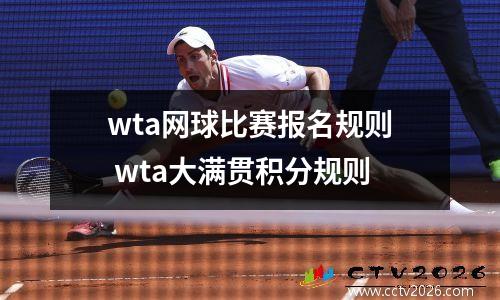 wta网球比赛报名规则 wta大满贯积分规则