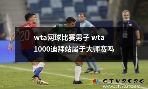 wta网球比赛男子 wta1000迪拜站属于大师赛吗