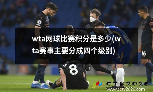 wta网球比赛积分是多少(wta赛事主要分成四个级别)