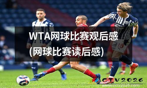 WTA网球比赛观后感(网球比赛读后感)