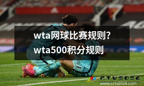 wta网球比赛规则？wta500积分规则