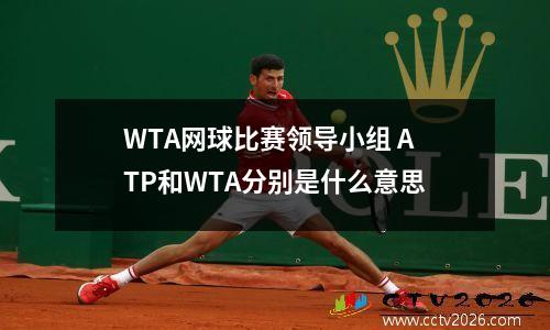 WTA网球比赛领导小组 ATP和WTA分别是什么意思