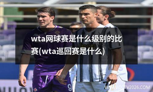 wta网球赛是什么级别的比赛(wta巡回赛是什么)