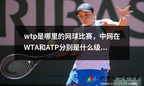 wtp是哪里的网球比赛，中网在WTA和ATP分别是什么级别的赛事