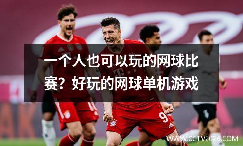 一个人也可以玩的网球比赛？好玩的网球单机游戏