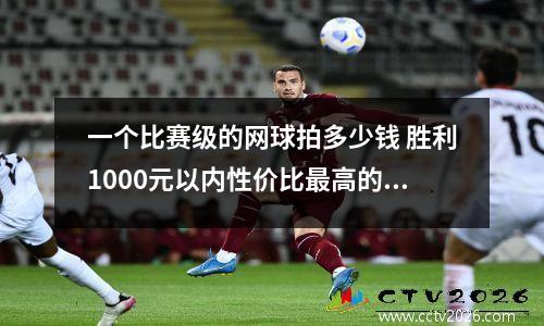 一个比赛级的网球拍多少钱 胜利1000元以内性价比最高的拍子